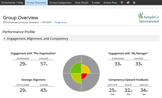 How to write survey analysis