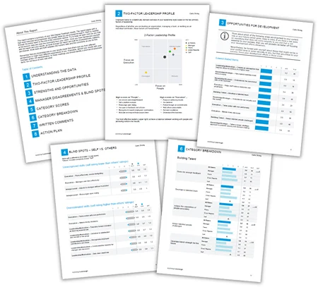 professional reports