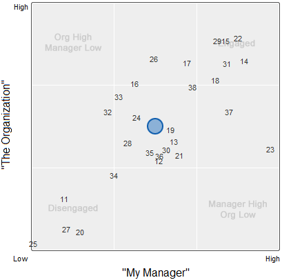 Employee engagement by company