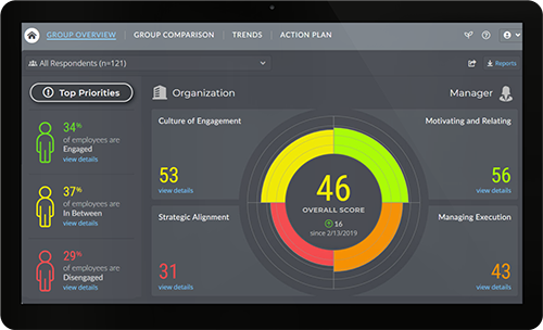 ORG Dashboard on Screen