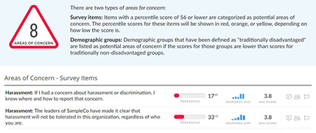 DEI Areas of Concern