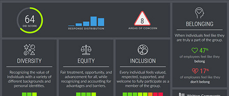 DEI Dashboard Survey Items