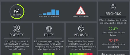 DEI Dashboard Survey Items