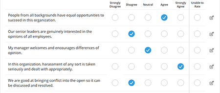 DEI Survey with Checks